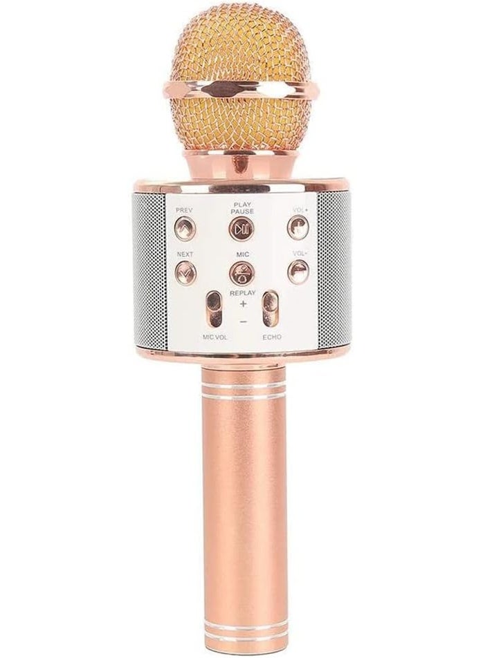 Woster MIC-WS-858 Handheld Wireless Bluetooth Karaoke Microphone - Image 1