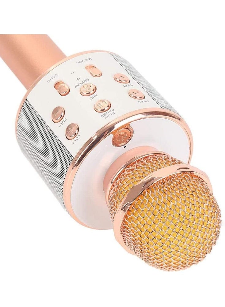 Woster MIC-WS-858 Handheld Wireless Bluetooth Karaoke Microphone - Image 3