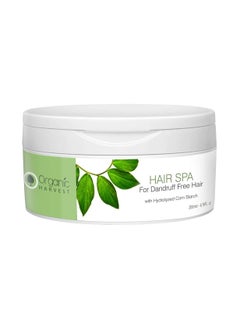 Organic Harvest Anti Dandruff Shampoo 225 ml And Organic Harvest Hair Spa For Dandruff Free Hair 200ml  - Image 5