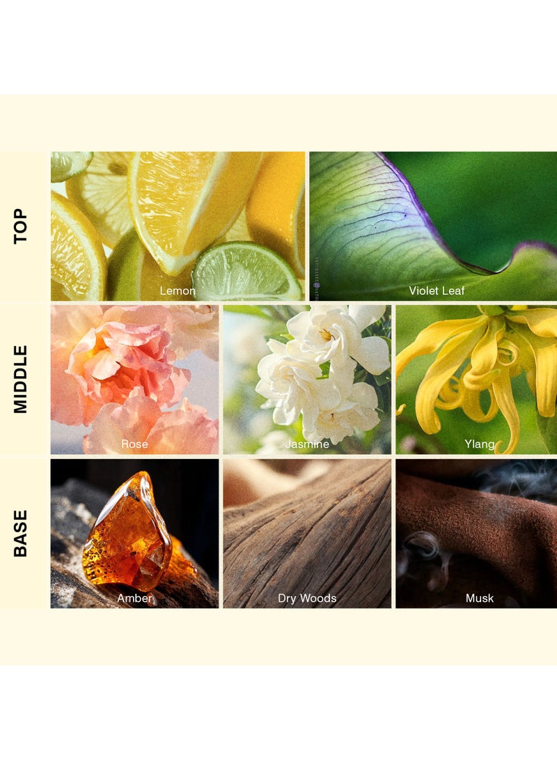 ISCENT | Whispering Blooms Oil Refill for Ensō Diffuser – 100ml with Lemon, Rose & Amber | Petals, Soft Citrus & Warm Woods in a Gentle Home Fragrance Symphony - Image 2