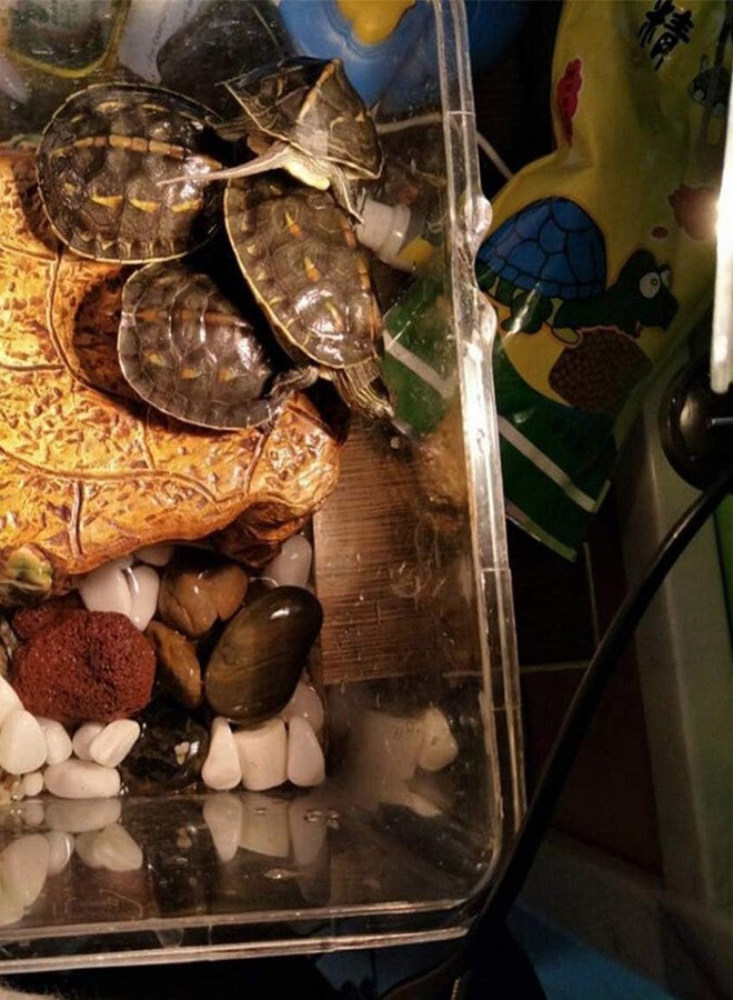 مجموعة مصابيح الأشعة فوق البنفسجية من BdelrinQue، 4 قطع، لأحواض السلاحف، وإكسسوارات أحواض السلاحف، ومصابيح تشمس مناسبة لأصحاب الزواحف ومحبي البرمائيات. - Image 5