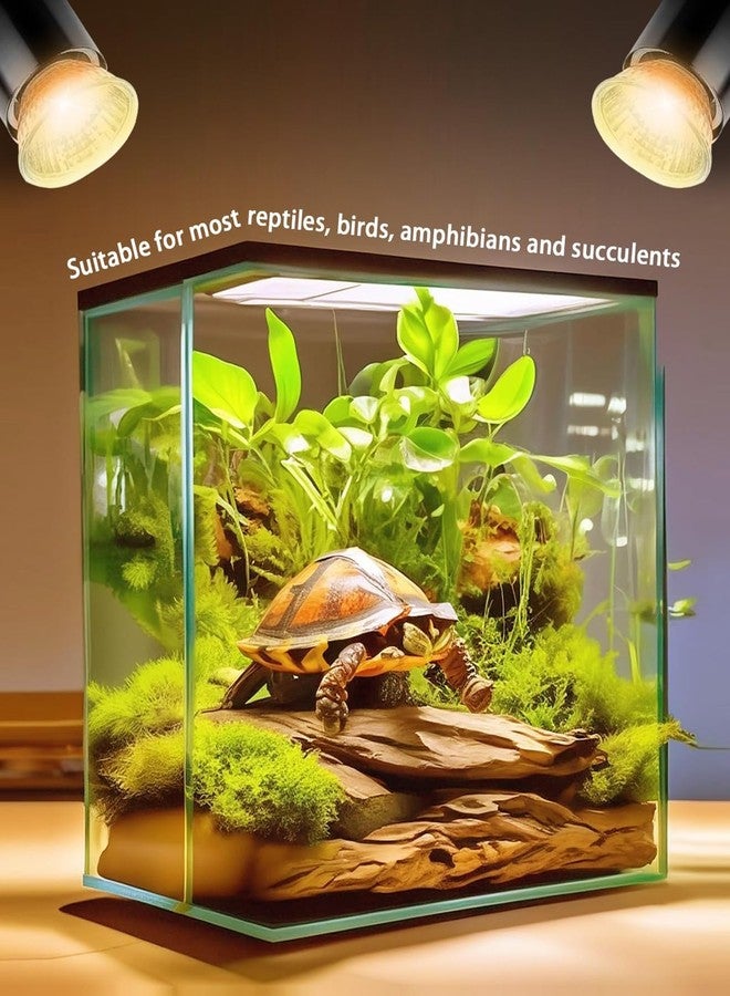 مجموعة مصابيح الأشعة فوق البنفسجية من BdelrinQue، 4 قطع، لأحواض السلاحف، وإكسسوارات أحواض السلاحف، ومصابيح تشمس مناسبة لأصحاب الزواحف ومحبي البرمائيات. - Image 4