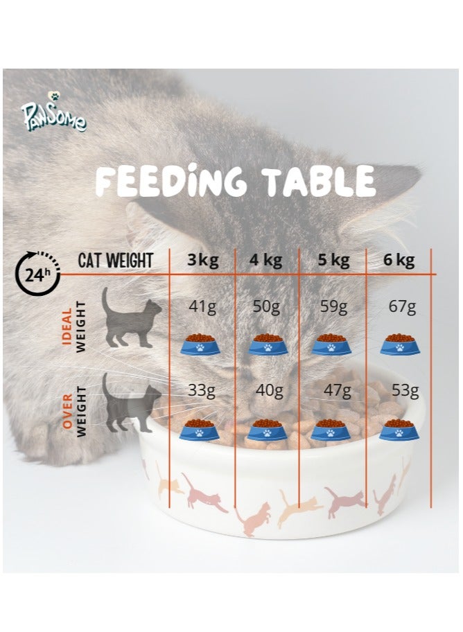 PAWSOME Dry Cat Food - 5 kg Seafood Flavor, Natural Fiber, Taurine and Crunchy Texture - Image 4