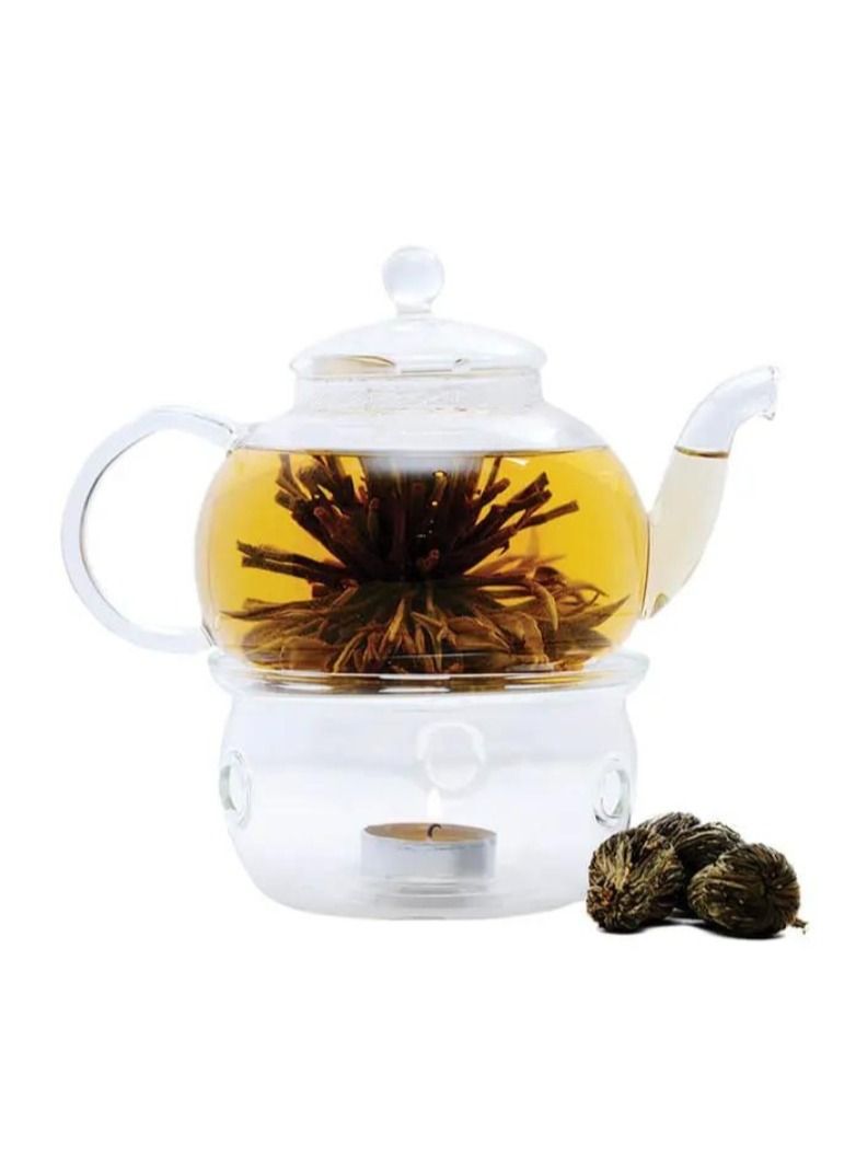 تيلاند تزهر الطبيعية ثلاثية أوراق الشاي زهرة الأقحوان فضفاضة أوراق الشاي المدرفلة يدويا المزهرة - Image 4