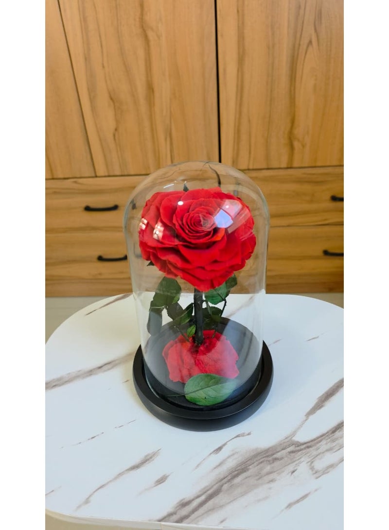 فلاور وردة أبدية محفوظة على شكل قلب في قبة زجاجية - هدية فاخرة - Image 2