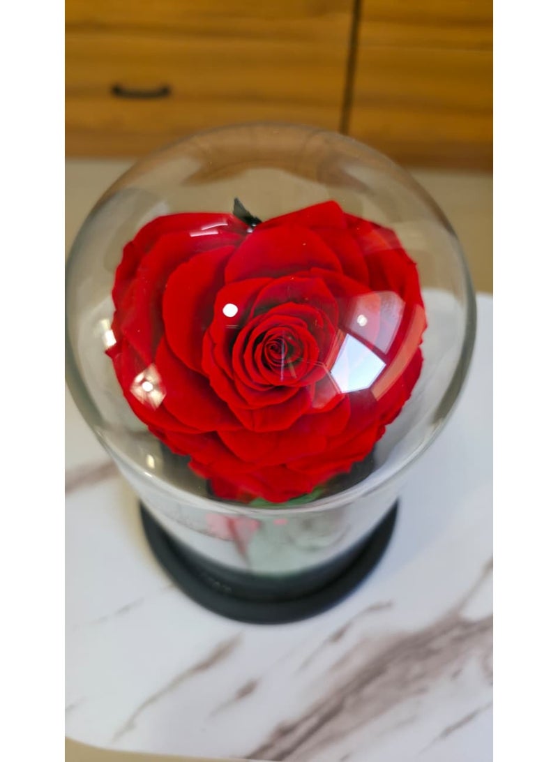 فلاور وردة أبدية محفوظة على شكل قلب في قبة زجاجية - هدية فاخرة - Image 3