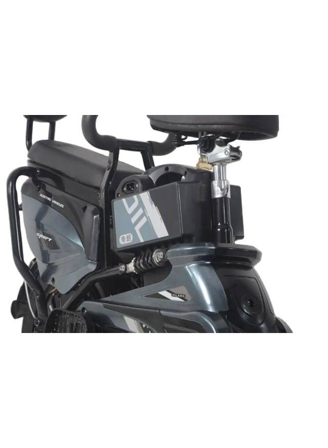 Electric bicycle developer - Image 2