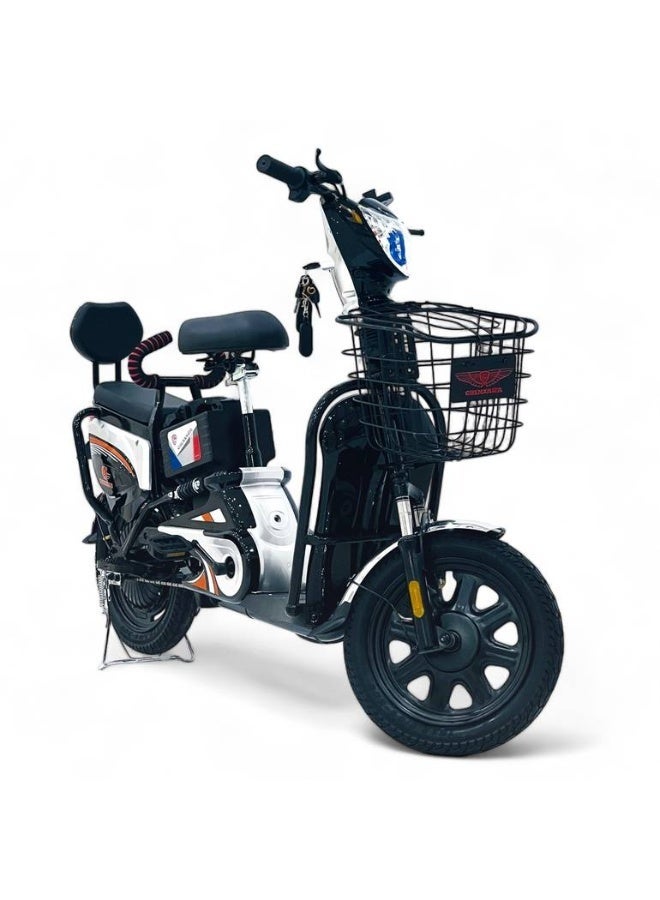 Electric bicycle developer - Image 1