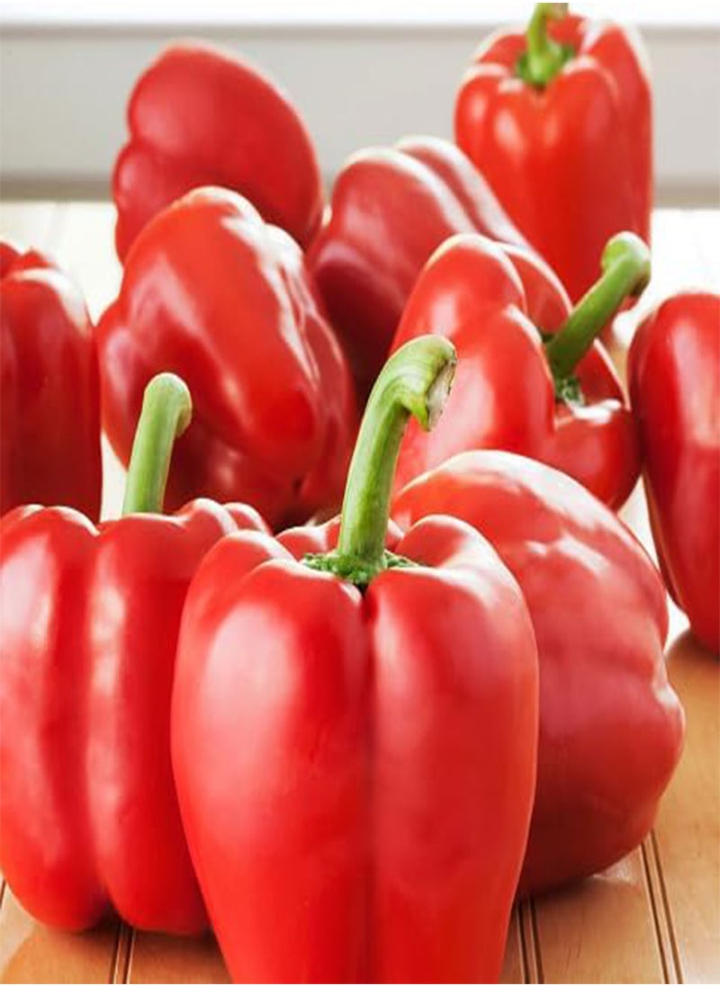 GGOOT 40pcs  Pepper Vegetable Seeds  - Image 1