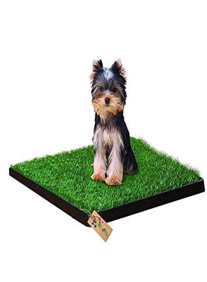 Western Era Dog Cat Pet Potty Trainer Grass Mat Dog Puppy Training Pee Patch Pad Indoor Outdoor - Image 1