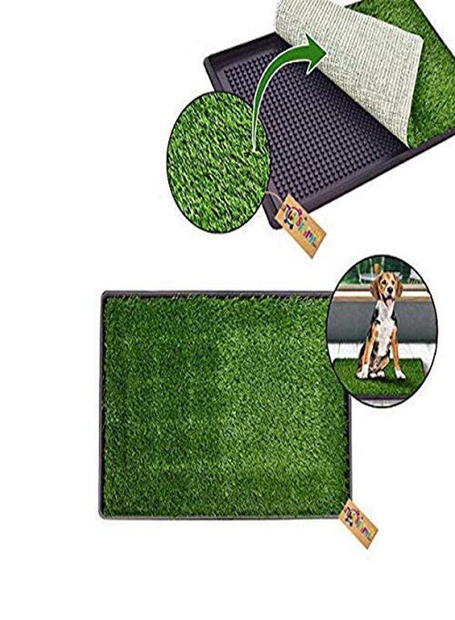 Western Era Dog Cat Pet Potty Trainer Grass Mat Dog Puppy Training Pee Patch Pad Indoor Outdoor - Image 2