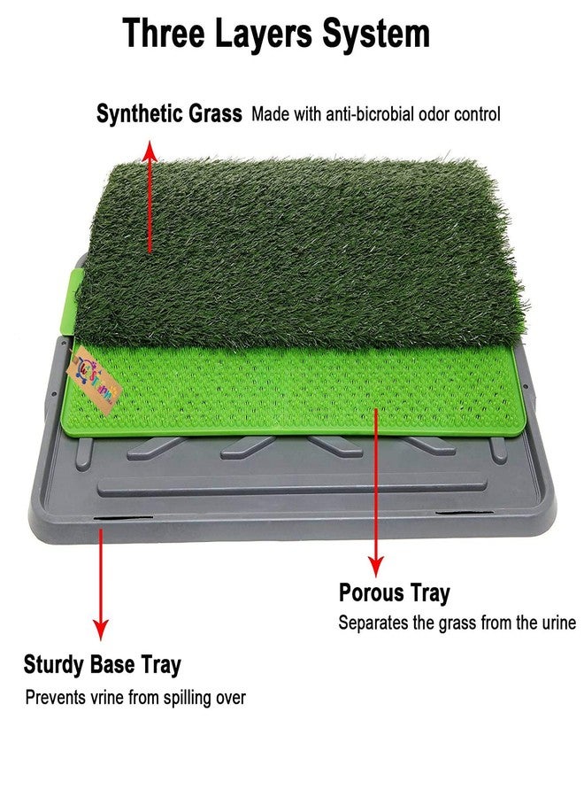 Western Era Dog Cat Pet Potty Trainer Grass Mat Dog Puppy Training Pee Patch Pad Indoor Outdoor - Image 4