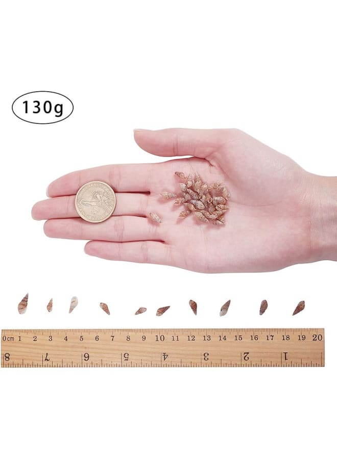 Elite about 130g Tiny Sea Shell Ocean Beach Spiral Seashells Craft Charms for Candle Making Home Decoration Beach Theme Party Wedding Decor, Fish Tank and Vase Filler, No Hole  - Image 2