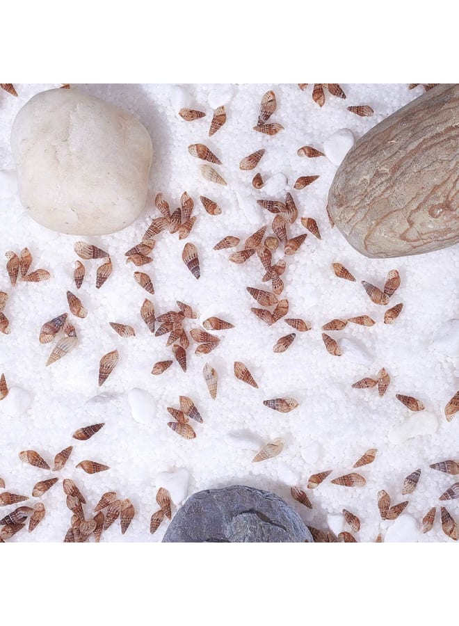 Elite about 130g Tiny Sea Shell Ocean Beach Spiral Seashells Craft Charms for Candle Making Home Decoration Beach Theme Party Wedding Decor, Fish Tank and Vase Filler, No Hole  - Image 4