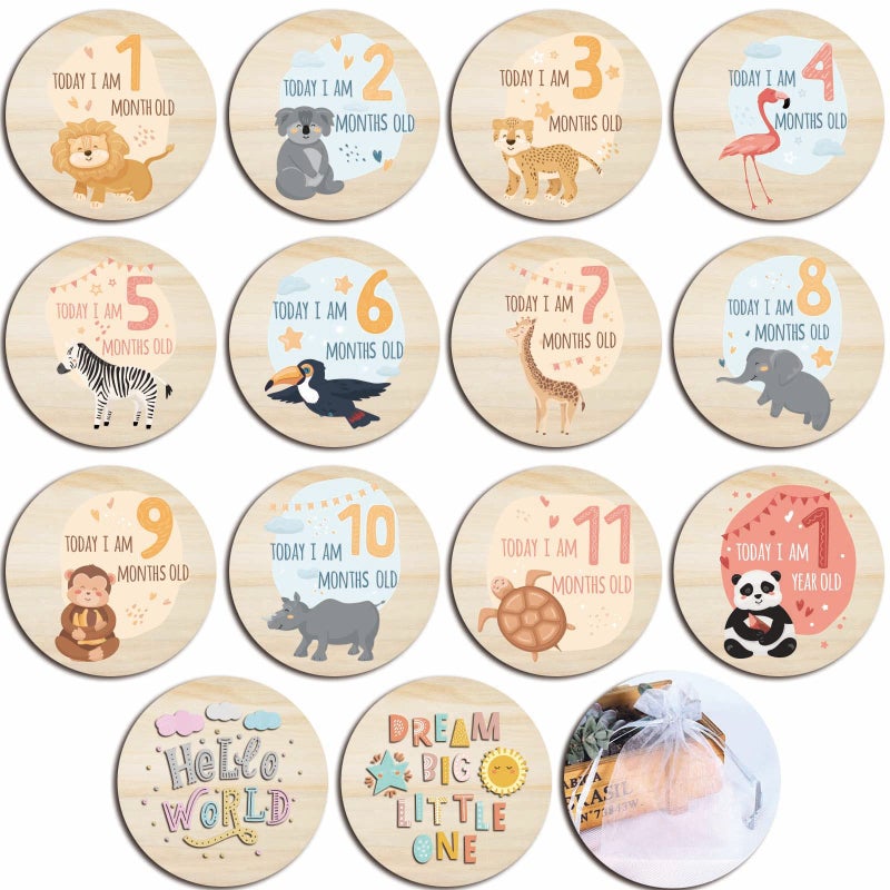 Baby Monthly Milestone Cards for Newborn Girl or BoySafari Monthly Baby Milestone Cards Baby Anniversary SignsBaby Shower Cards Come with Organza Gift Bag Milestone Wooden Circles