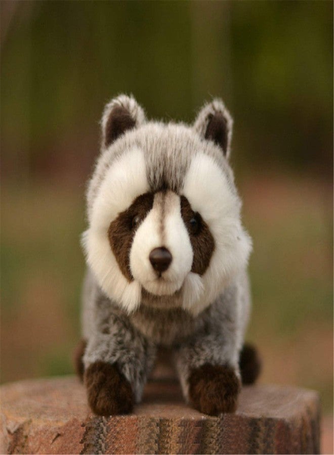TAMMYFLYFLY Stuffed Toy 12" Raccoon Plush Stuffed Animal - Image 2
