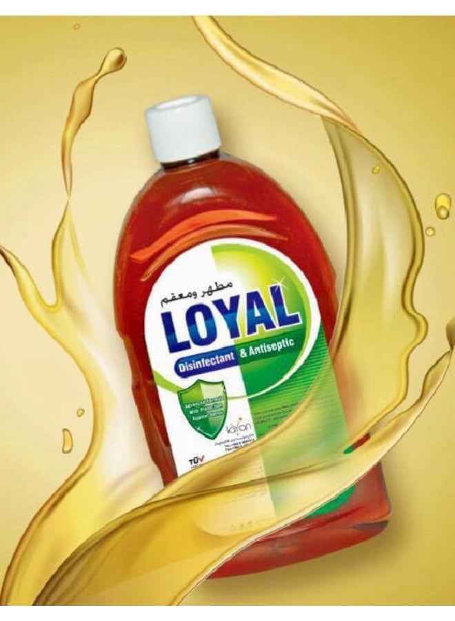 loyal Disinfectant & Antiseptic Liquid 750 ML - Image 2
