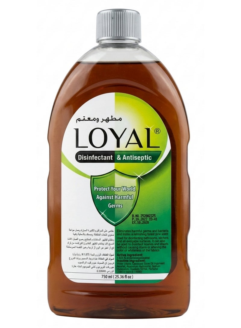 loyal Disinfectant & Antiseptic Liquid 750 ML - Image 1