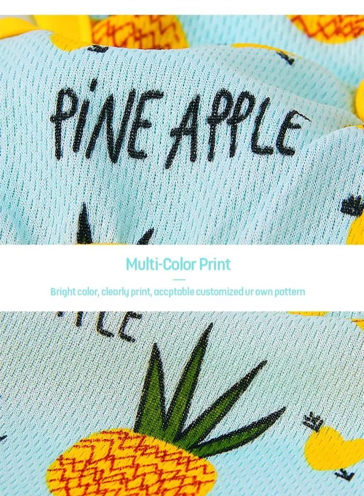Generic OHANA Spring Wear Collection Spaghetti Strings and Fruity Print Girly Frocks with Frills for Cats and Dogs Pineapple Print Medium size  - Image 2