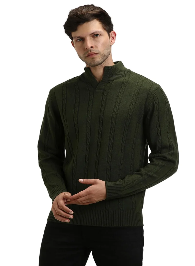 Dennis Lingo Men's Olive 100% Acrylic Self Design Regular Fit Sweater