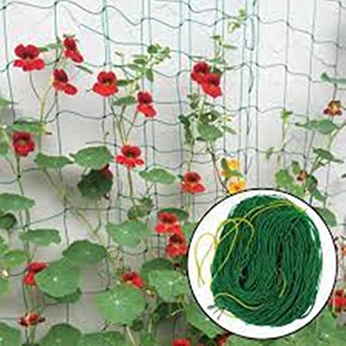 Kabi Aggro Garden Net for Creeper Plant Climbing Support 10 * 6 Feet Used in Terrace, Shade, Roof for Tomato Vegetable Flowers and Other Plants Growth Supporting - Image 4