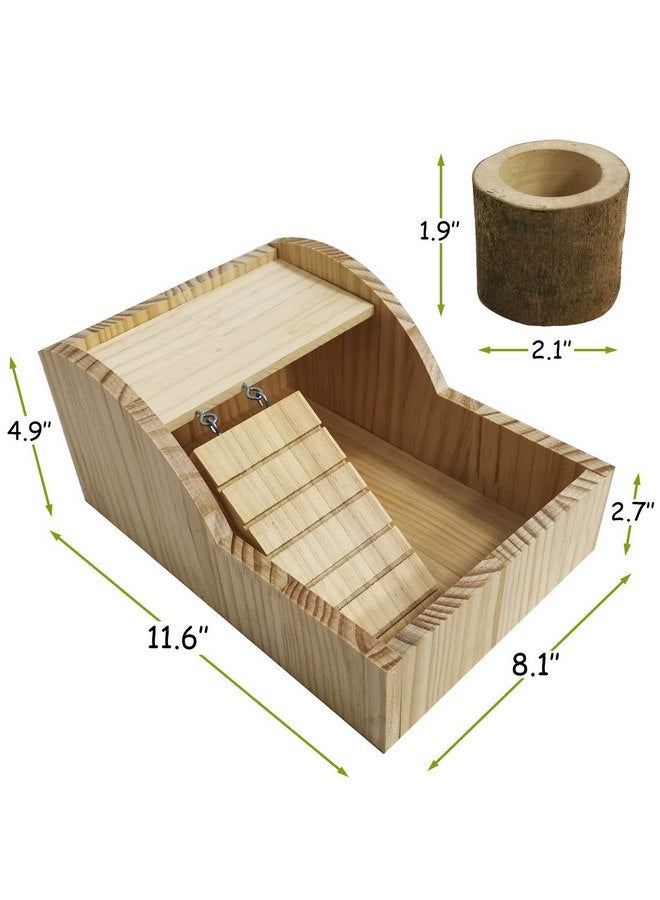 كاثسون صندوق استحمام رملي للهامستر من كاثسون، غرفة استحمام خشبية للحيوانات الصغيرة، حوض استحمام رملي للحفر مع وعاء سلم للتسلق للفئران السورية القزمة، فئران الجربوع، القنفذ - Image 5