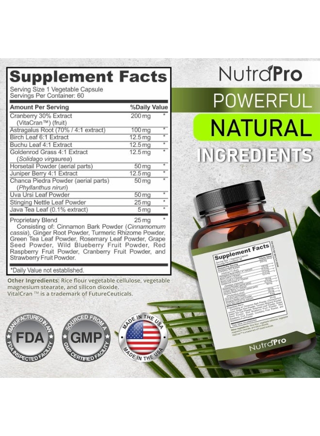 Kidney Vita Kidney Cleanse Detox & Repair and Bladder Support- Kidney Support Supplement for Kidney Restore with Chanca Piedra,Cranberry, Juniper Berries for Detox and Bladder Health.60 Day Supply. - Image 4