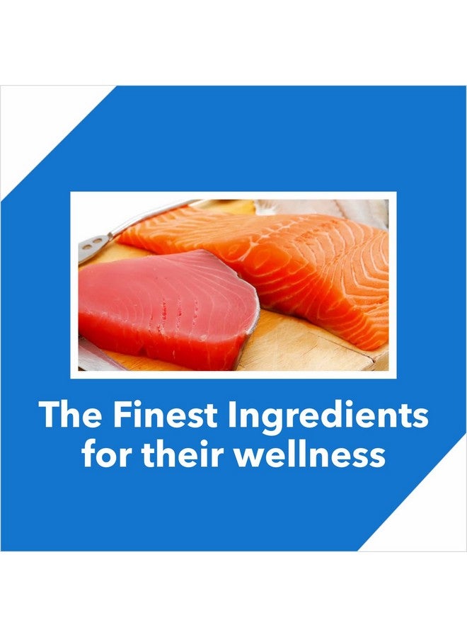 Drools Adult Dry Cat Food, Tuna Salmon 1.2 Kg Pack - Image 3