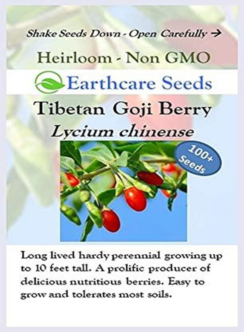 Tibetan Goji Berry 100 Seeds (Lycium chinense) Heirloom - Non GMO - Open Pollinated