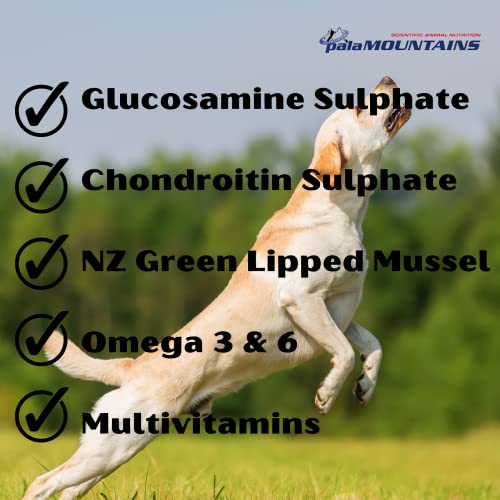 Palamountains My Beau Bone & Joint Supplement for Dogs – Joint Health, Mobility, Soft Tissue & Immune Support, Antioxidants for Active & Aging Dogs – 300ml - Image 3