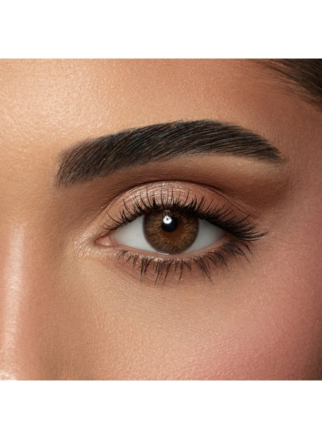 Amara Women 10 Daily Color Contact Lenses Shadow - Image 1