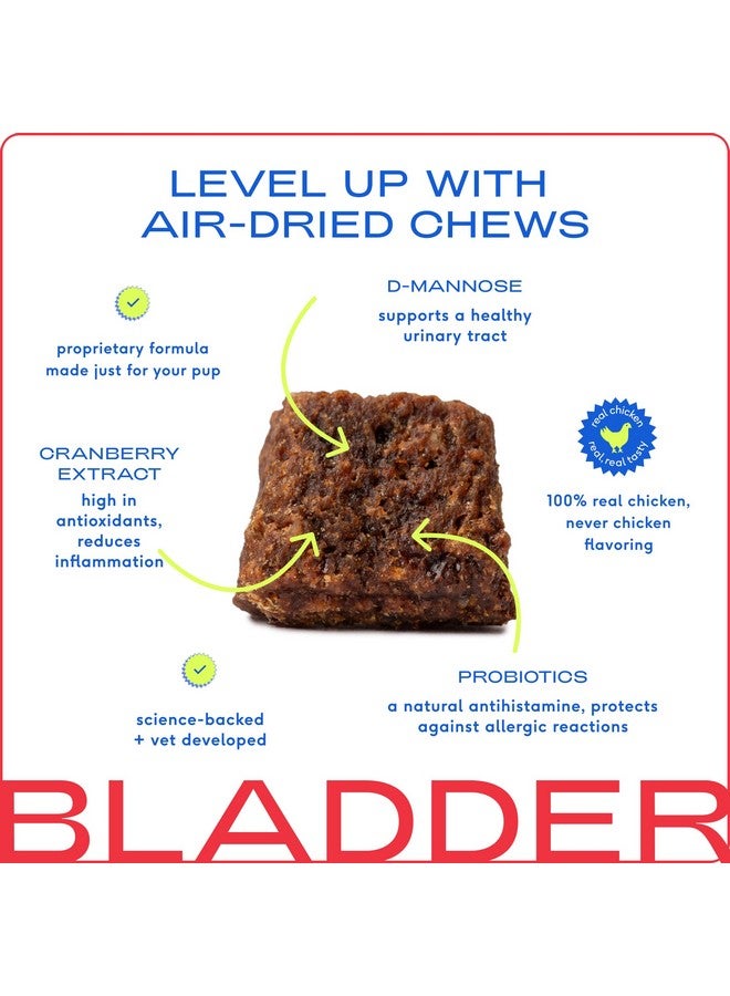 Native Pet Dog UTI Treatment - Cranberry Supplement for Dogs Bladder Control & Kidney Support - Prevent Urinary Tract Infection and Urinary Incontinence - Made with Real Cranberry Extract - 60 Chews - Image 2