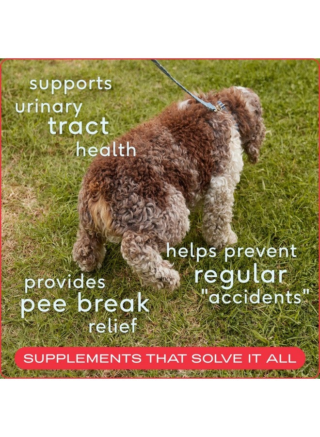 Native Pet Dog UTI Treatment - Cranberry Supplement for Dogs Bladder Control & Kidney Support - Prevent Urinary Tract Infection and Urinary Incontinence - Made with Real Cranberry Extract - 60 Chews - Image 1