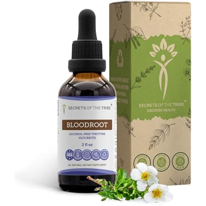 Secrets of the Tribe Bloodroot Tincture Alcohol-Free Extract, Responsibly farmed Bloodroot (Sanguinaria Canadensis) Dried Root Tincture Supplement (2 FL OZ) - Image 1