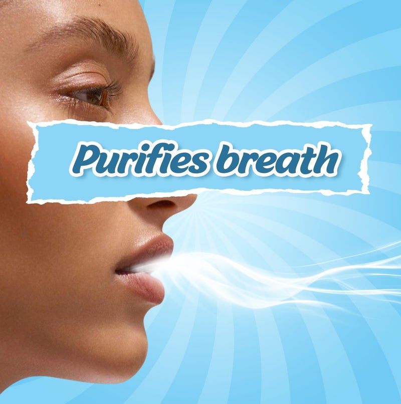 Mountain Breeze Oral Hygiene Mouth Freshener Sugar Free Cool Mint Flavoured Breath Strips (24 Strips Each Cassatte)-Pack of 1(3 Cassette) New - Image 3