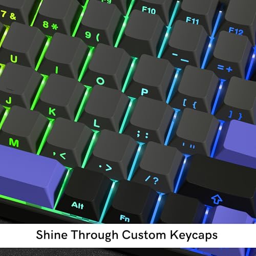 Rainy75 Shine Through Double Shot PBT Keycaps Set, Cherry Profile Custom Keycaps 60 65 75 100 Percent for 61/64/68/84/87/100/104/108 Retro Gaming Mechanical Keyboard, Black Purple - Image 2