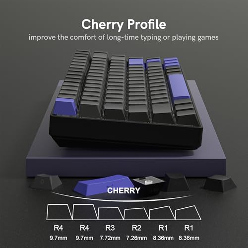 Rainy75 Shine Through Double Shot PBT Keycaps Set, Cherry Profile Custom Keycaps 60 65 75 100 Percent for 61/64/68/84/87/100/104/108 Retro Gaming Mechanical Keyboard, Black Purple - Image 4