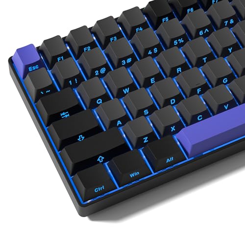 Rainy75 Shine Through Double Shot PBT Keycaps Set, Cherry Profile Custom Keycaps 60 65 75 100 Percent for 61/64/68/84/87/100/104/108 Retro Gaming Mechanical Keyboard, Black Purple - Image 1