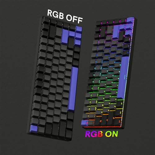 Rainy75 Shine Through Double Shot PBT Keycaps Set, Cherry Profile Custom Keycaps 60 65 75 100 Percent for 61/64/68/84/87/100/104/108 Retro Gaming Mechanical Keyboard, Black Purple - Image 5