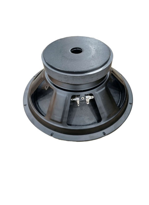Horn Naked Speaker 12 inches