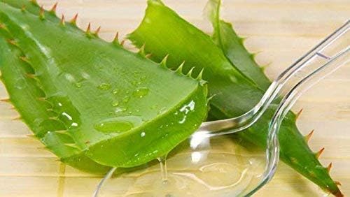 SIDANALE ENTERPRISES Aloe Vera Cool Eye Mask Value pack of 3 - Image 5
