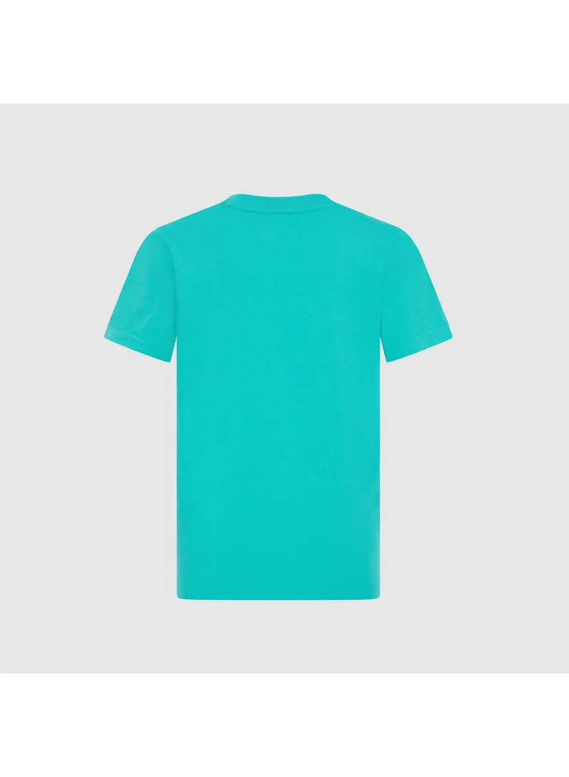 فريق AMG بتروناس للفورمولا 1 MAPF1 FW KIDS LARGE LOGO TEE