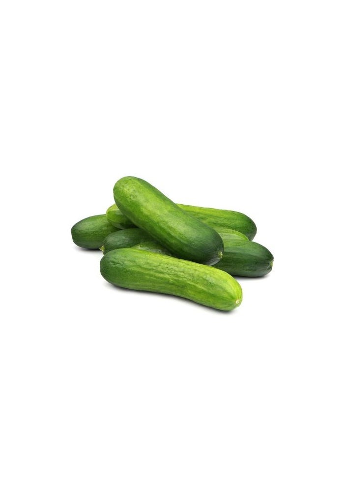 Organic Snack Cucumbers - 250g