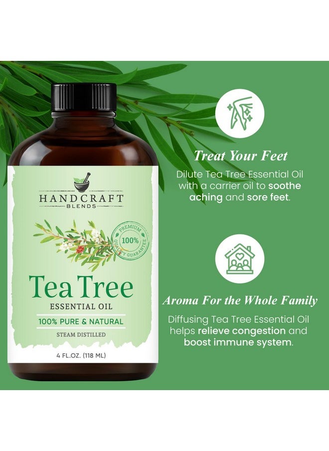 handcraft Blends Tea Tree Essential Oil - Huge 4 Fl Oz - 100% Pure And Natural - Premium Grade Essential Oil For Diffuser And Aromatherapy  - Image 4