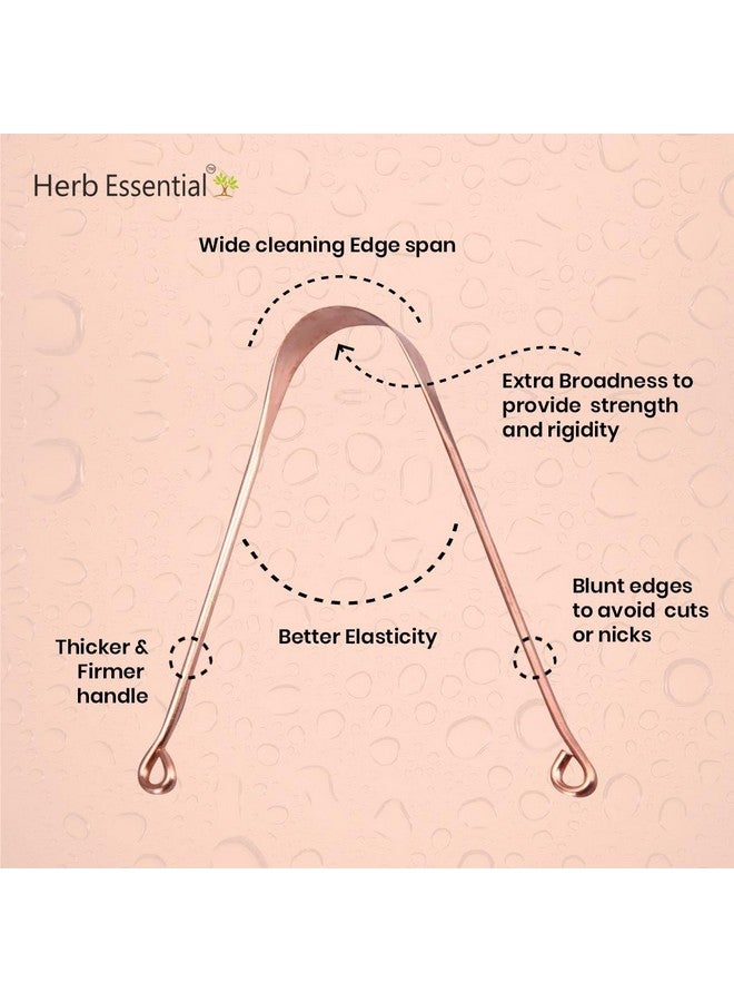 هيرب إسينشال منظف اللسان النحاسي الأساسي من الأعشاب، عبوة من 3 قطع | تعزيز نظافة الفم | رائحة الفم المنعشة وإزالة البكتيريا | مقبض مريح ومرن | سهل وآمن للاستخدام | نحاس نقي بنسبة 100% - Image 3