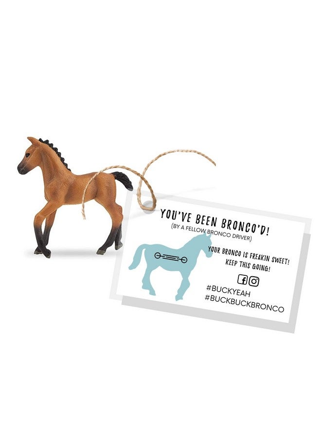 Boutique Marketing LLC You Have Been Bronco'D 50 Pack 2 X 3.5 Inches Business Sized Card Buck Buck Bronco Buck Yeah Bronco Tag Attach To Plastic Bronco Horse Figurine Buckbuckbronco Buckyeah - Image 2
