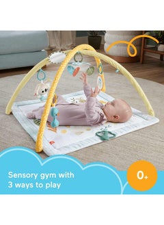 Fisher-Price Simply Senses Newborn Gym Baby Activity Mat  - Image 1
