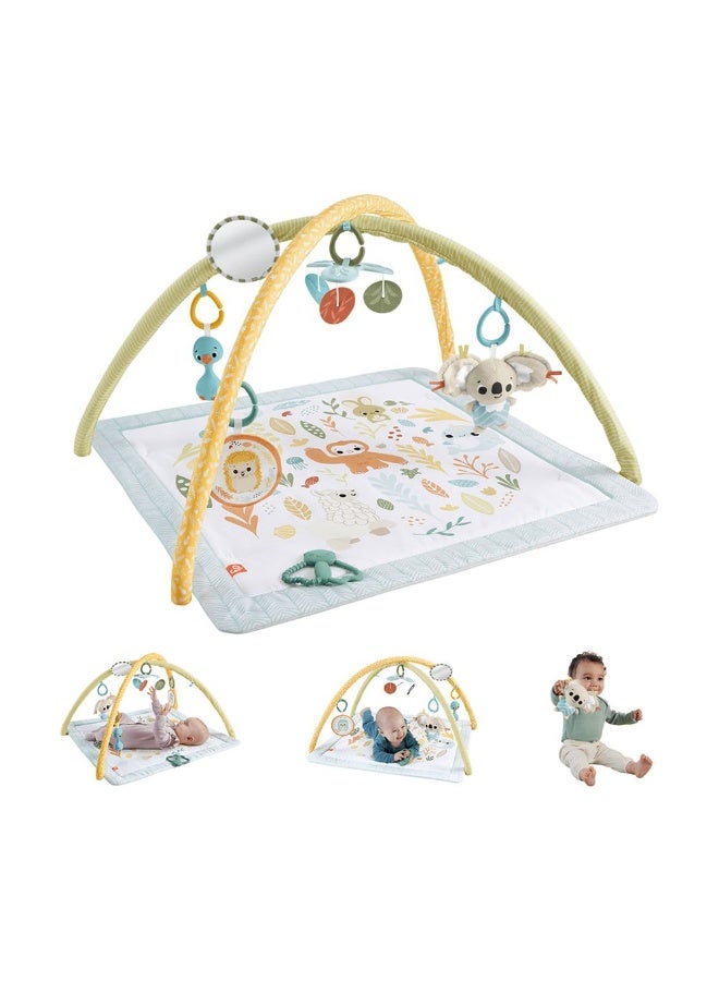 Fisher-Price سجادة نشاط الأطفال حديثي الولادة من سيمبلي سينسز - Image 2