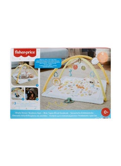 Fisher-Price Simply Senses Newborn Gym Baby Activity Mat  - Image 3
