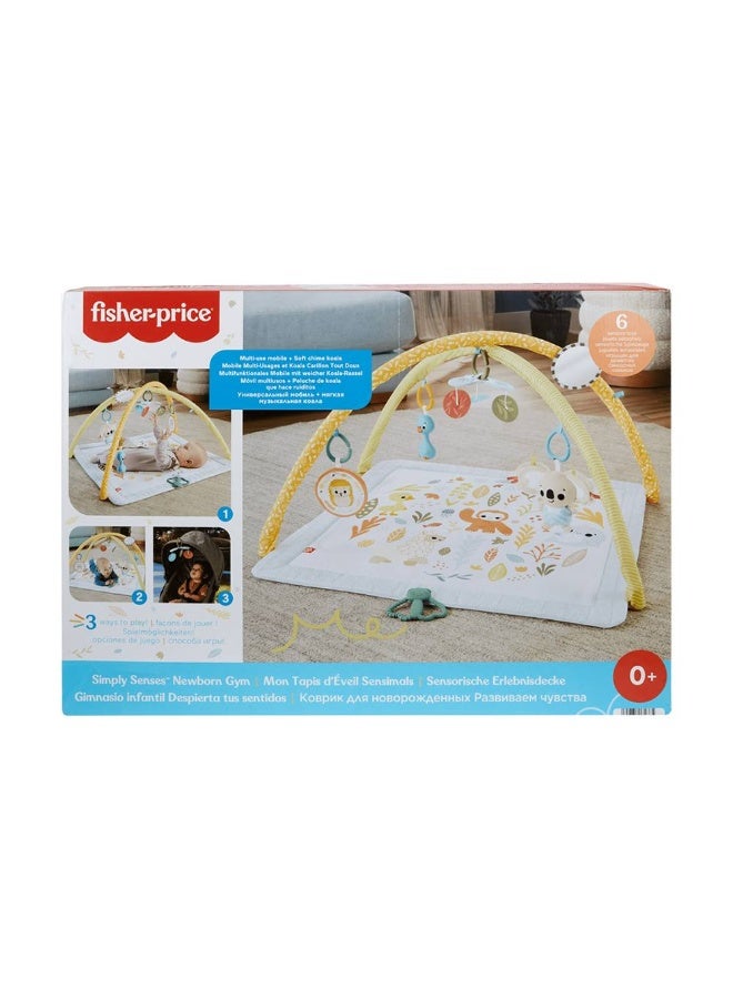 Fisher-Price سجادة نشاط الأطفال حديثي الولادة من سيمبلي سينسز - Image 3